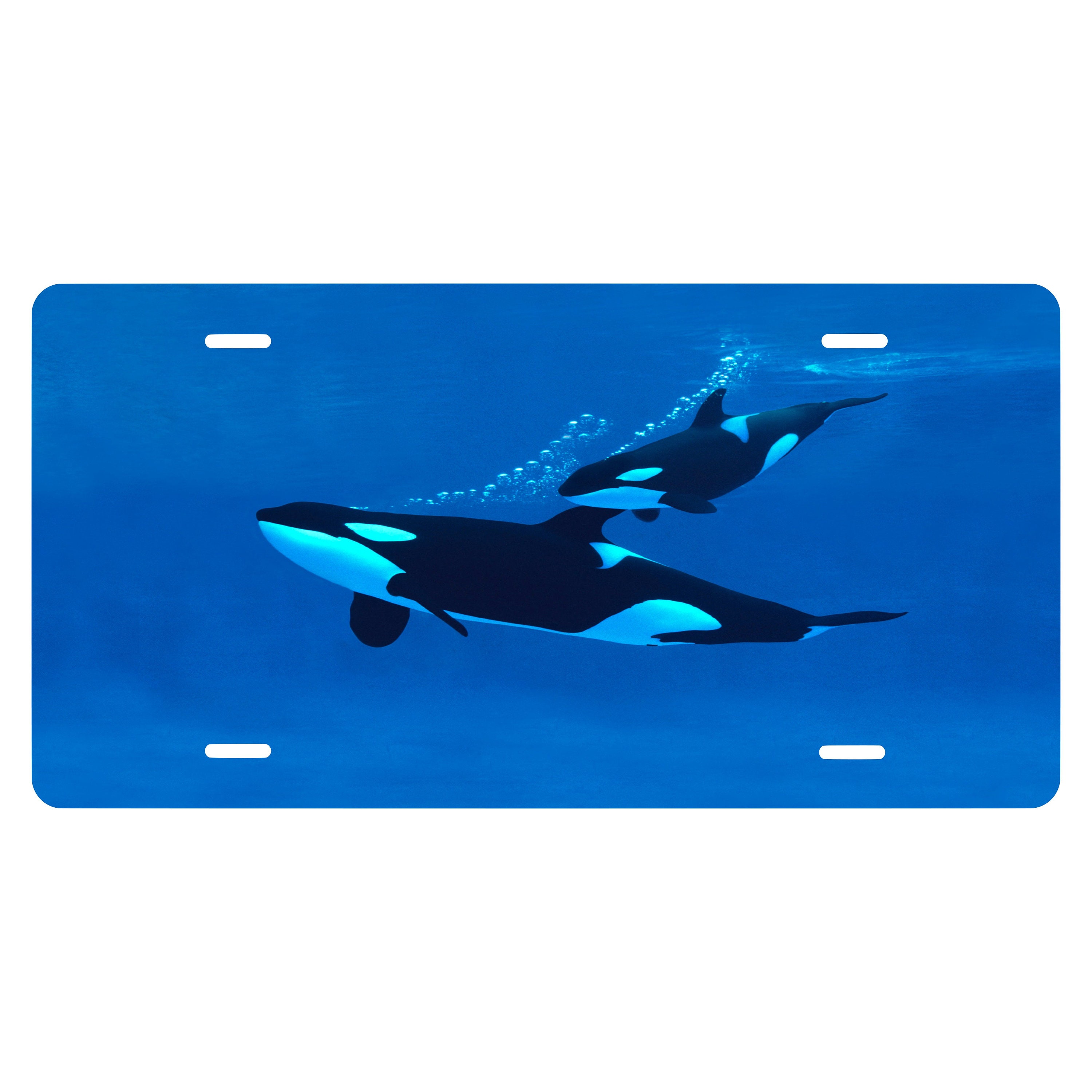 Personalized Custom Orcas Underwater Novelty Front License Plate - Fish ...
