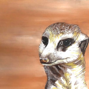 Meerkat look-out