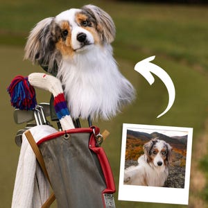 Custom Pet Golf Headcovers, Photo-based Golf Club Covers, Personalized Pet Driver Cover, Photo-Based Golf Club Cover, Dog Golf Gifts for Him
