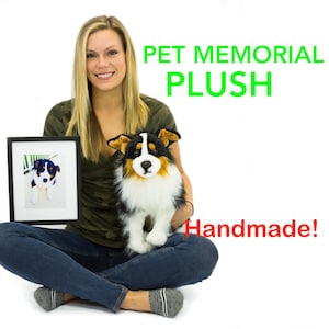 Pet Memorial Plush, Custom plush lookalike to honor your pet, custom plush from photo, dog pet plush, custom plush, bereavement, pet replica