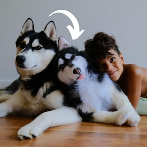 Custom Pet Stuffed Animals: Photo of pet into custom stuffed animal, plush from pet photo, custom pet stuffed animal, personalized pet plush image 6
