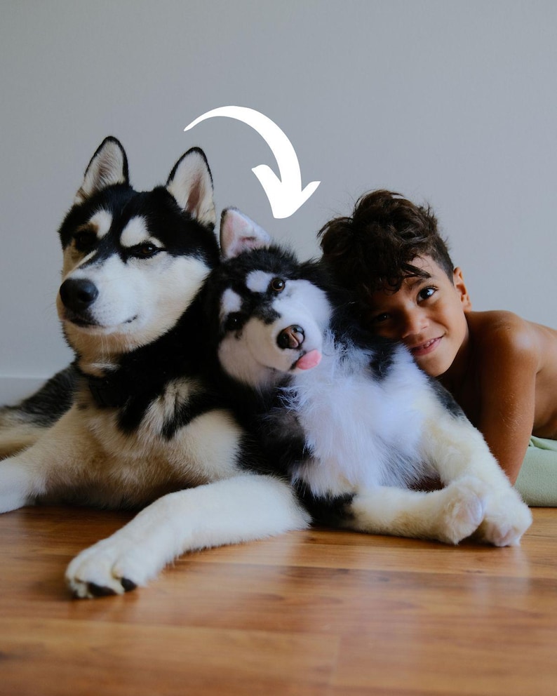 Custom Pet Stuffed Animals: Photo of pet into custom stuffed animal, plush from pet photo, custom pet stuffed animal, personalized pet plush image 6