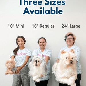 Custom Stuffed Animal of Pet | Pet plush clones- turn photo of pet into stuffed animal, plush from photo, custom pet stuffed animal image 4