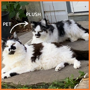 Custom Cat Stuffed Animal turn photo of cat into stuffed animal, plush from photo, custom cat stuffed animal, custom stuffed animal from art