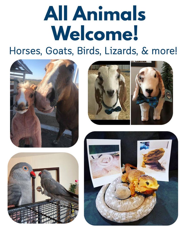 Custom Pet Stuffed Animals: Photo of pet into custom stuffed animal, plush from pet photo, custom pet stuffed animal, personalized pet plush image 5