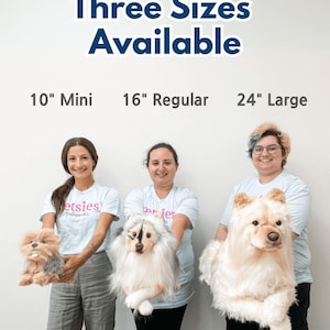 Custom Pet Stuffed Animals: Photo of pet into custom stuffed animal, plush from pet photo, custom pet stuffed animal, personalized pet plush image 3