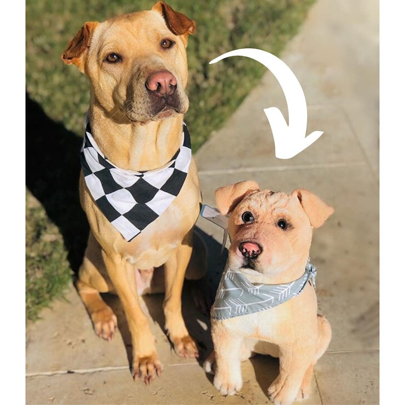 May include: Two tan dogs wearing bandanas sit side-by-side. The larger dog is wearing a black and white checkered bandana, while the smaller dog is wearing a gray bandana with a white arrow pattern.