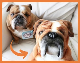 Custom Stuffed Animal of Pet | Pet plush clones- turn photo of pet into stuffed animal, plush from photo, custom pet stuffed animal