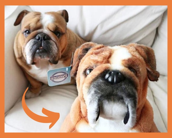 Custom Stuffed Animal of Pet Pet Plush Clones Turn Photo of - Etsy Custom Stuffed Animal of Pet Pet Plush Clones Turn Photo of - Etsy