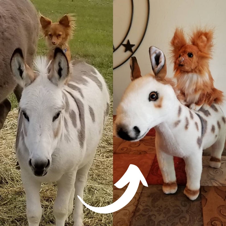 May include: A white and brown donkey with a small chihuahua sitting on its back. The donkey is standing in a field of hay. The chihuahua is looking at the camera. The image is split in half, with the left side showing the real donkey and chihuahua, and the right side showing a plush toy version of the donkey and chihuahua.