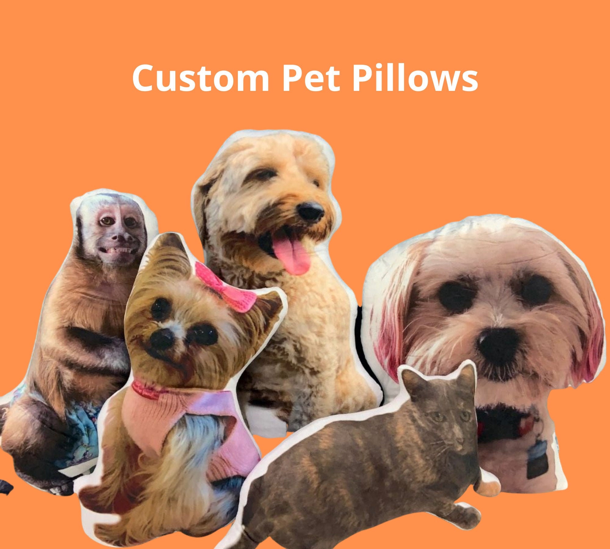 dog into stuffed animal