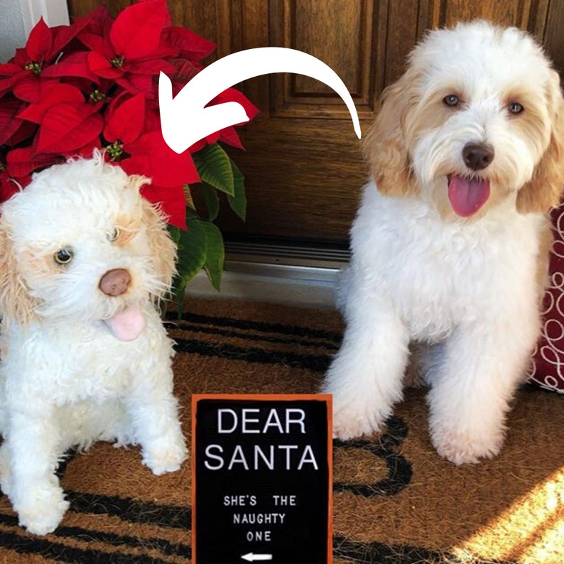Custom Pet Plush Stuffed Animal of Pet From Photo Dog Into | Etsy