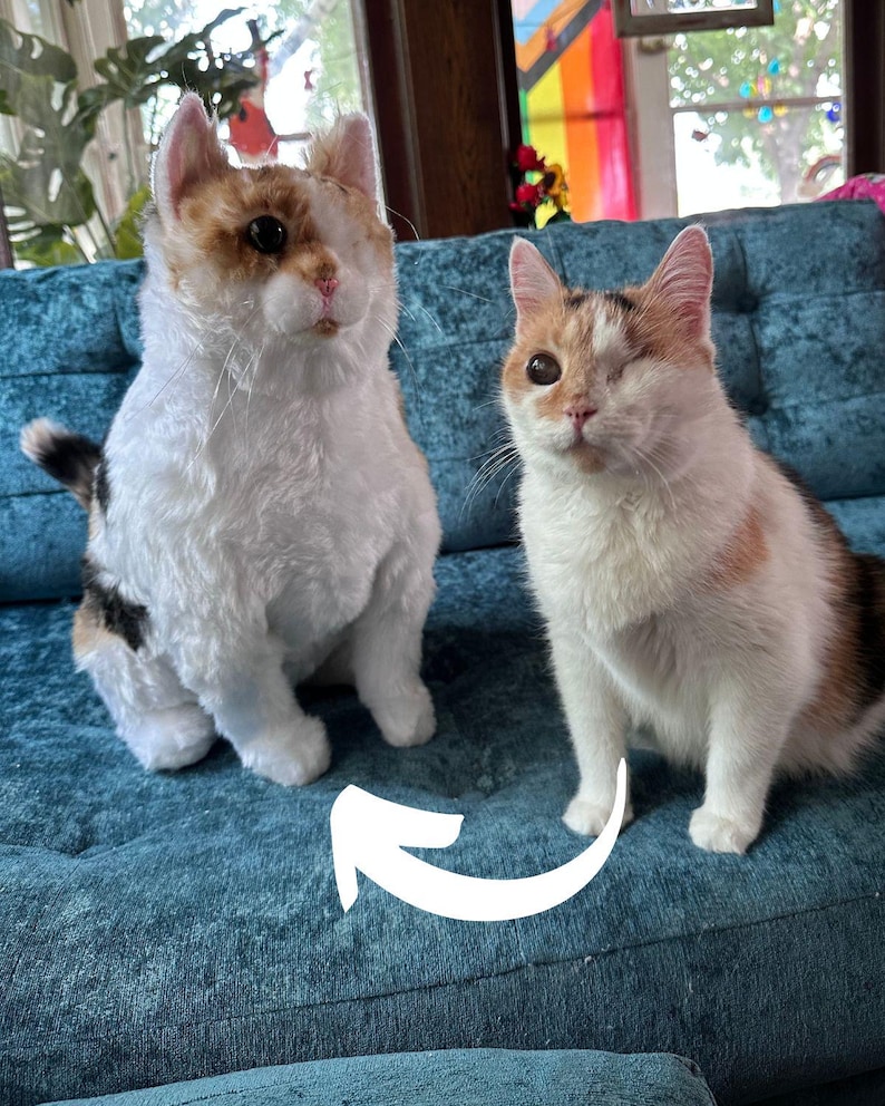 Custom Stuffed Animal of Pet | Pet plush clones- turn photo of pet into stuffed animal, plush from photo, custom pet stuffed animal image 9