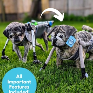 Custom Pet Stuffed Animals: Photo of pet into custom stuffed animal, plush from pet photo, custom pet stuffed animal, personalized pet plush image 2