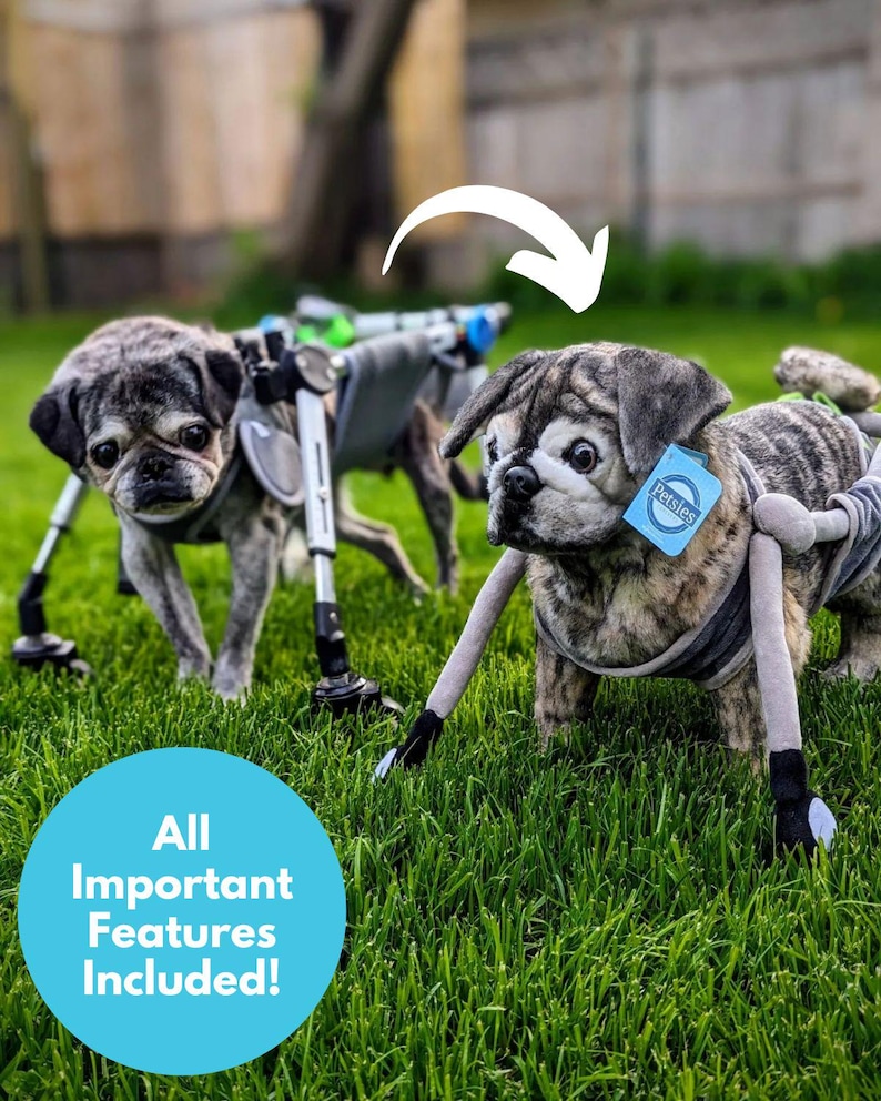 Custom Pet Stuffed Animals: Photo of pet into custom stuffed animal, plush from pet photo, custom pet stuffed animal, personalized pet plush image 2