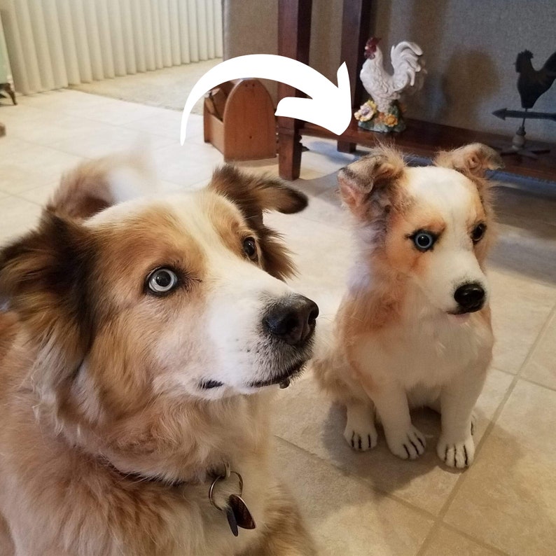 May include: Two dogs, one a brown and white border collie mix and the other a stuffed toy border collie, are sitting on a tiled floor. The real dog is looking up at the stuffed dog.