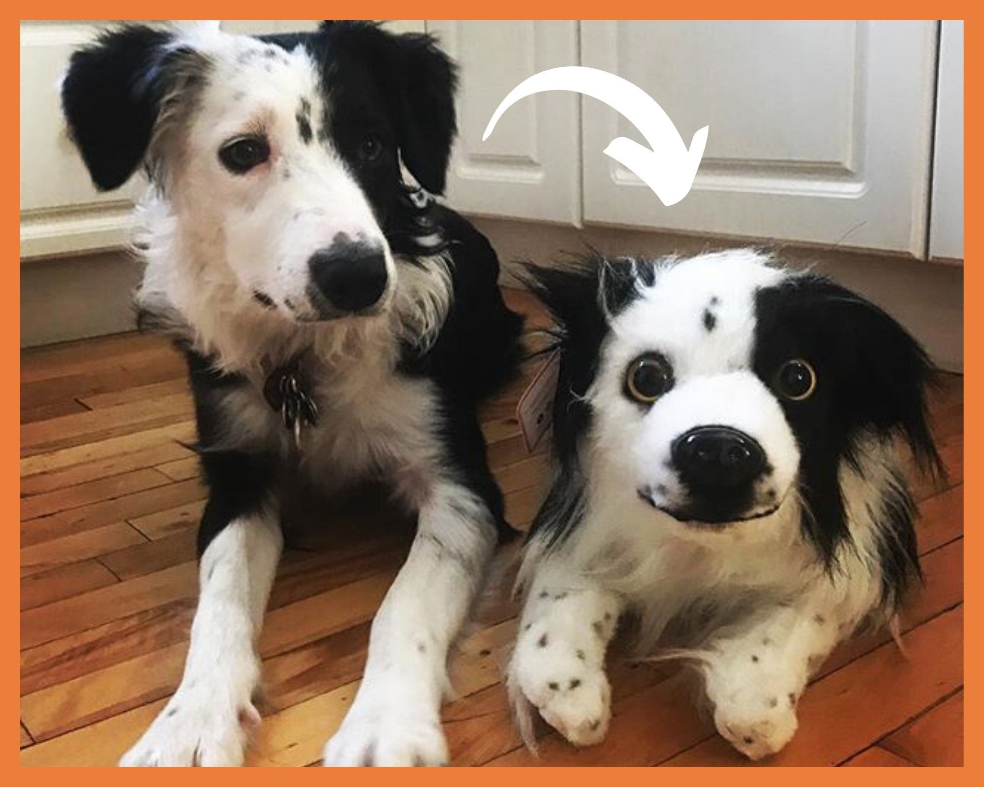 Custom Pet Plush Stuffed Animal of Pet From Photo Dog Into - Etsy Custom Pet Plush Stuffed Animal of Pet From Photo Dog Into - Etsy