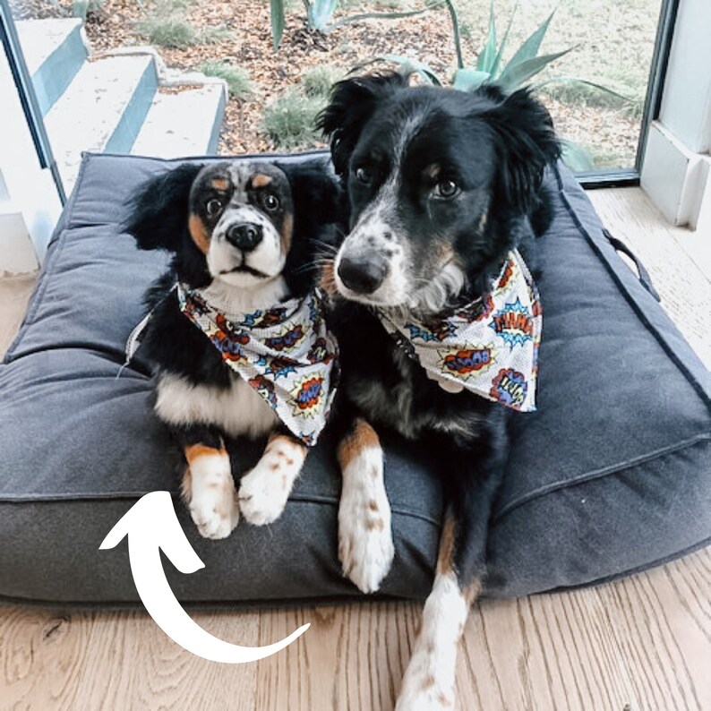 Custom Pet Stuffed Animals Photo of pet into custom stuffed Etsy