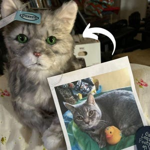 Custom Pet Stuffed Animals: Photo of pet into custom stuffed animal, plush from pet photo, custom pet stuffed animal, personalized pet plush image 4