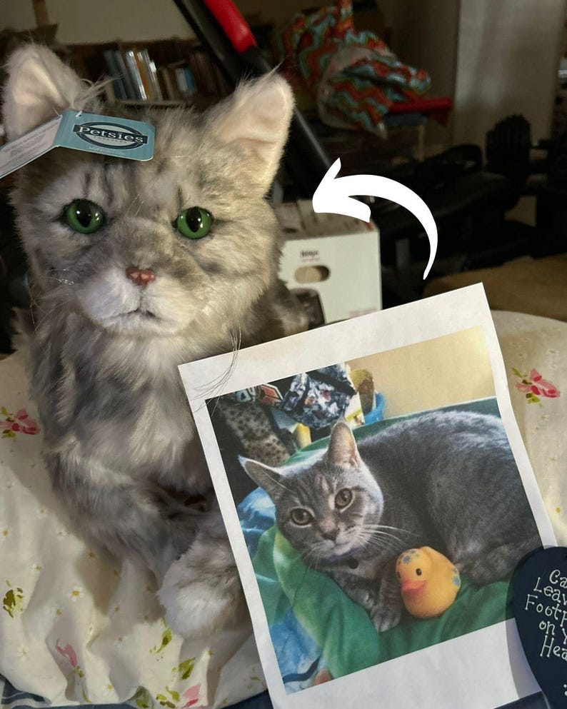 Custom Pet Stuffed Animals: Photo of pet into custom stuffed animal, plush from pet photo, custom pet stuffed animal, personalized pet plush image 4