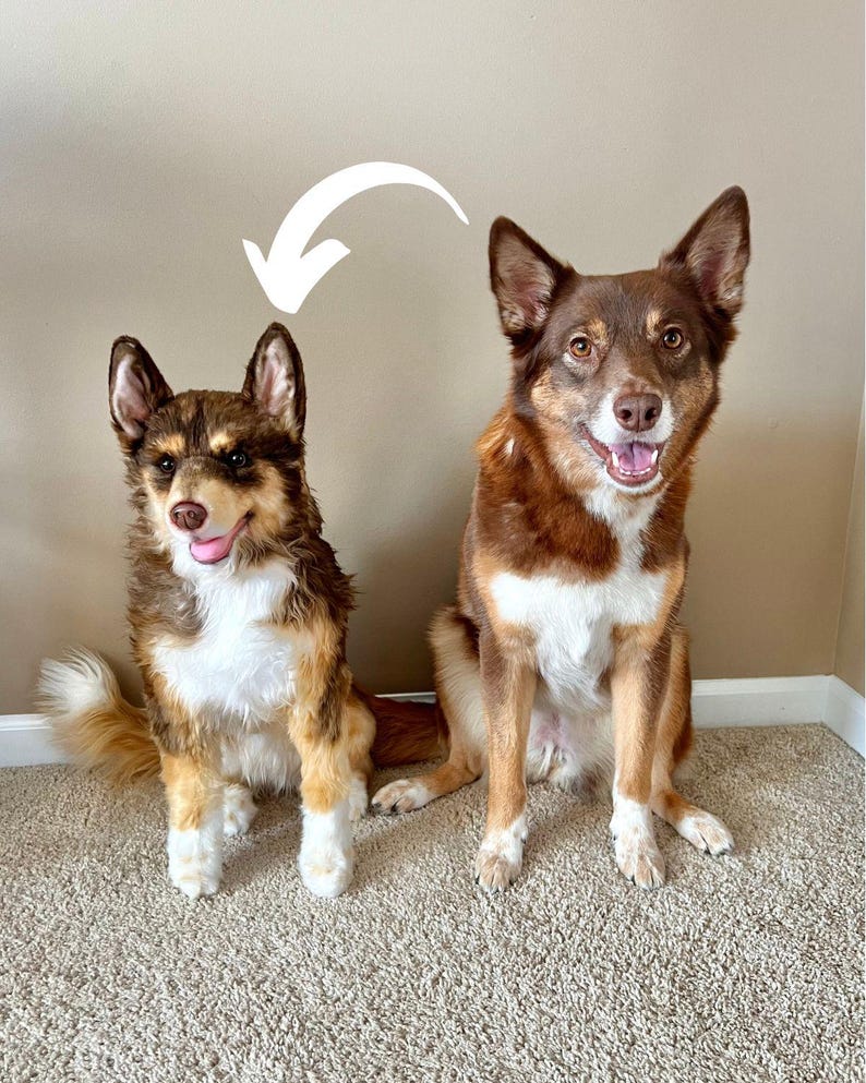 Custom Pet Stuffed Animals: Photo of pet into custom stuffed animal, plush from pet photo, custom pet stuffed animal, personalized pet plush image 1