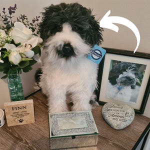 Pet Memorial Plush, Custom Plush Lookalike from Photo, Dog or Cat Pet Replica, Bereavement Gift, Pet Loss Keepsake, Custom Stuffed Animal