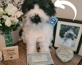 Pet Memorial Plush, Custom Plush Lookalike from Photo, Dog or Cat Pet Replica, Bereavement Gift, Pet Loss Keepsake, Custom Stuffed Animal