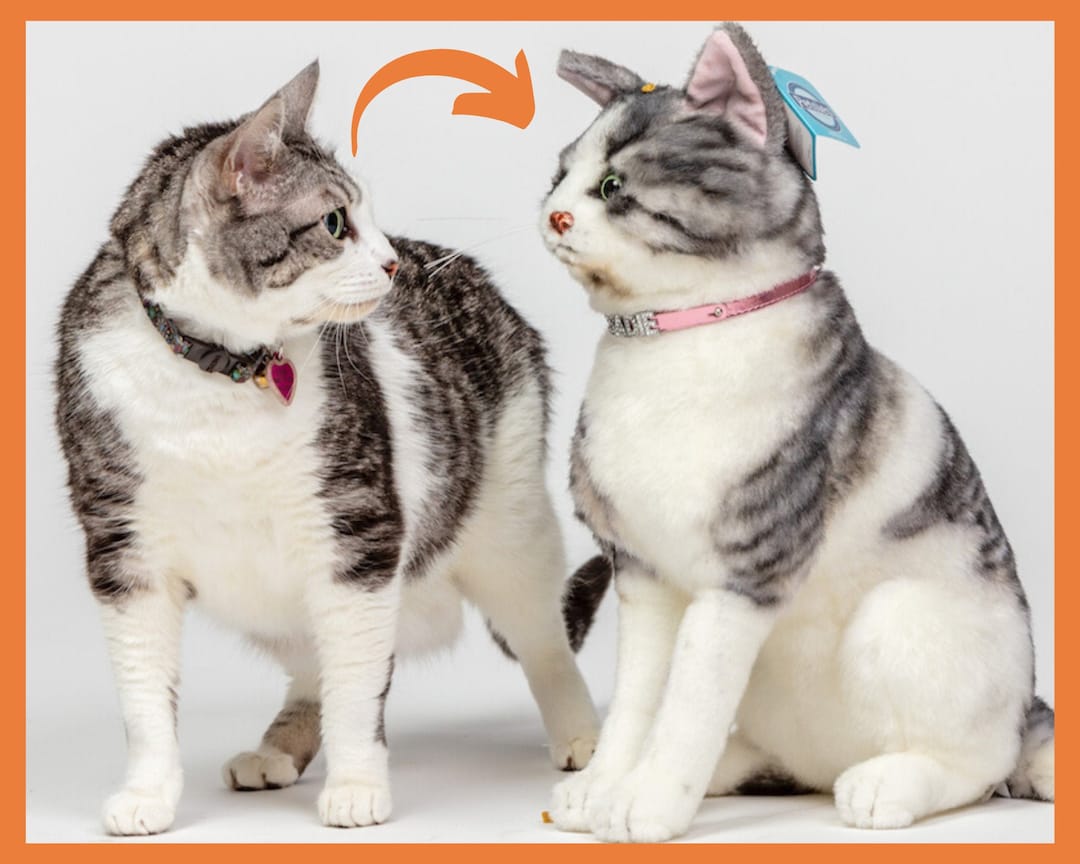 Stuffed animal cats that look real outlet