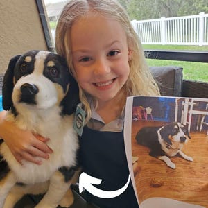 Custom Pet Stuffed Animals: Photo of pet into custom stuffed animal, plush from pet photo, custom pet stuffed animal, personalized pet plush image 10
