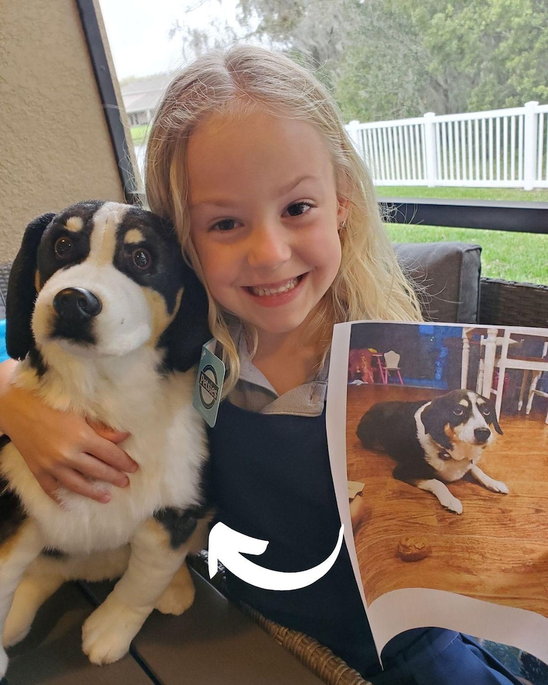 Custom Pet Stuffed Animals: Photo of pet into custom stuffed animal, plush from pet photo, custom pet stuffed animal, personalized pet plush image 10