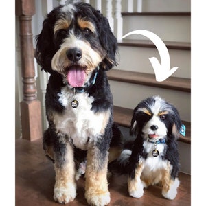 Custom Pet Plush - Stuffed Animal of Pet from Photo, dog into custom stuffed animal, plush from photo, custom dog stuffed animal, dog plush