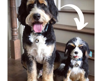 Custom Pet Plush - Stuffed Animal of Pet from Photo, dog into custom stuffed animal, plush from photo, custom dog stuffed animal, dog plush