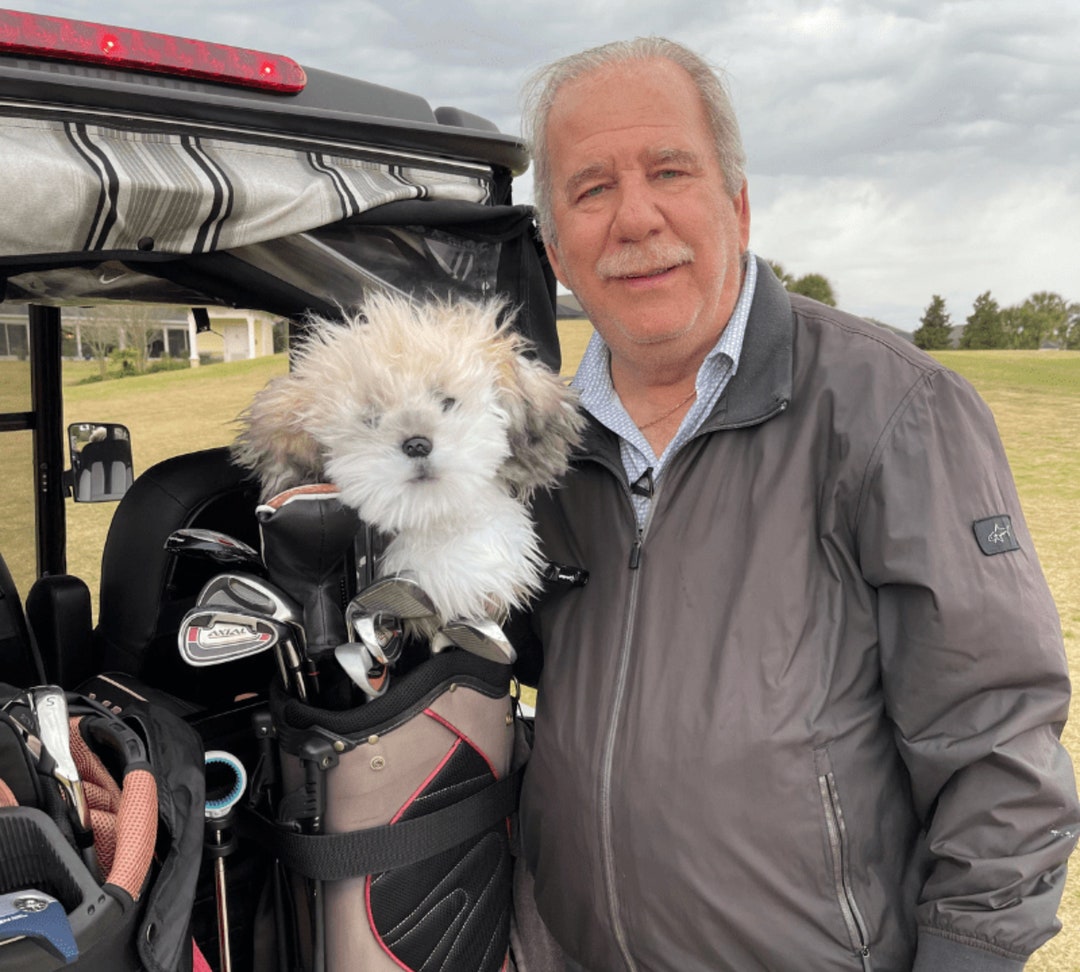 Pet Golf Headcovers, Headcovers Based on the Photos of Your Pet,photo