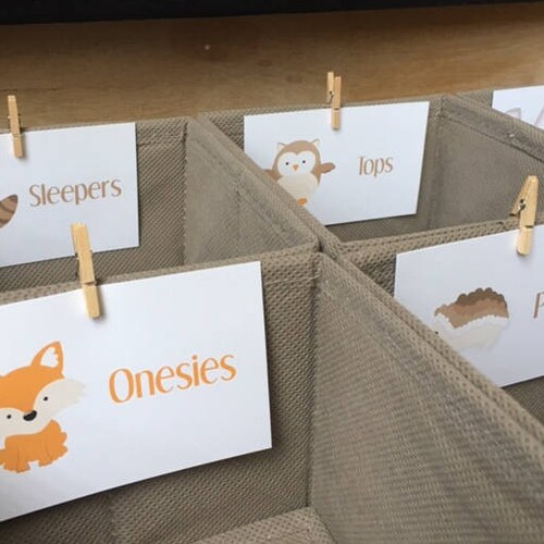 Nursery Drawer Labels Dresser Drawer Labels Woodland Etsy