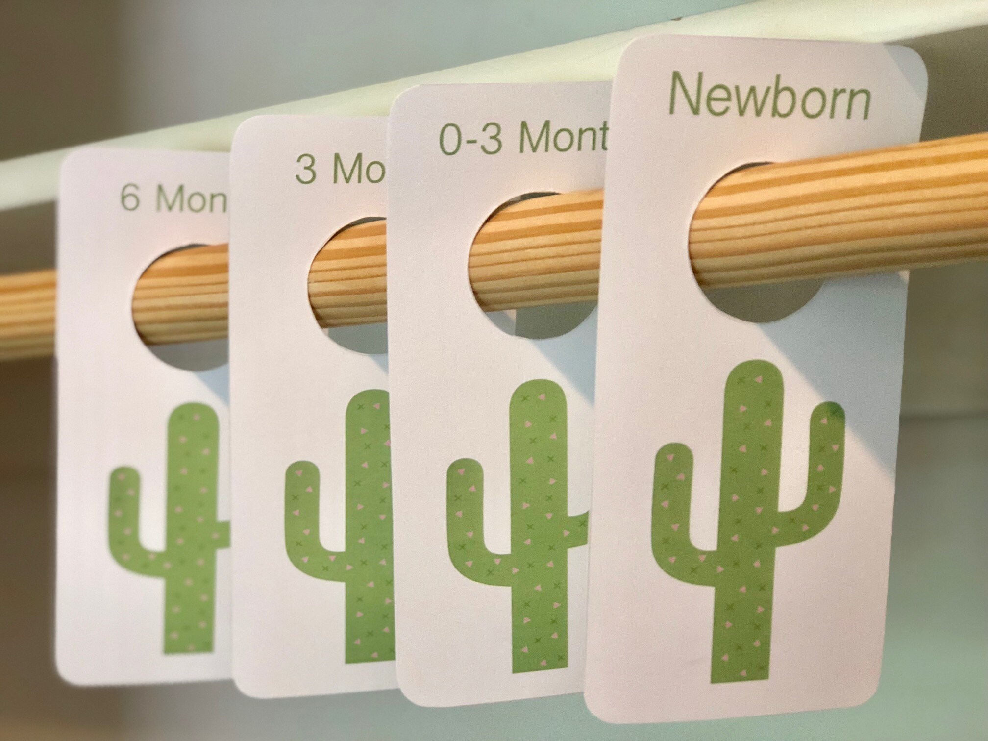 PRINTABLE - Cactus, Cactus Nursery Décor, Cacti, Nursery Closet ...