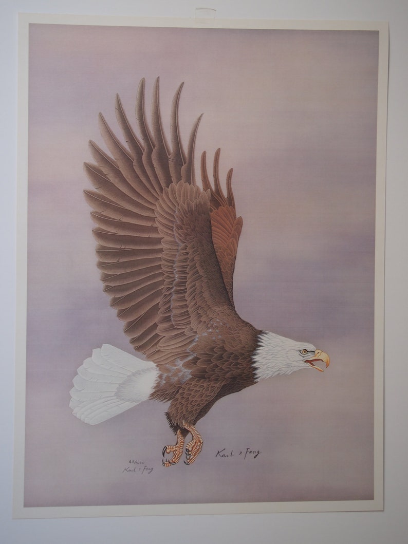 Flying eagle image 1