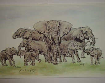 Elephant family