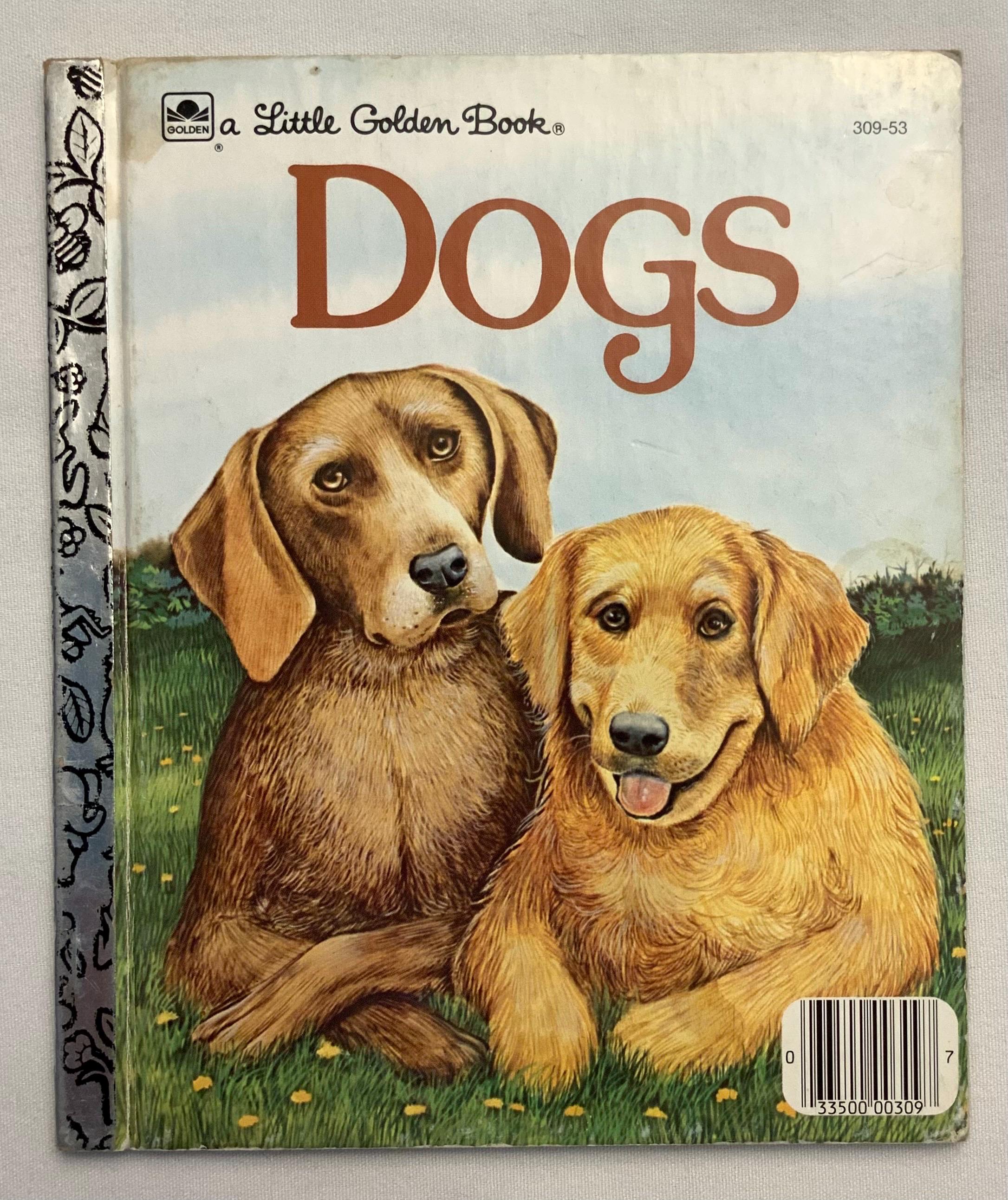 Dogs by Jean Lewis and Illustrated by Turi MacCombie Vintage Little Golden  Book 1983