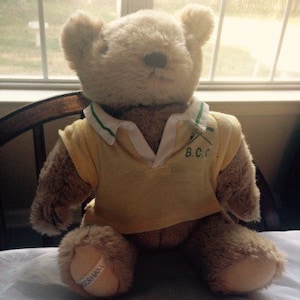 Puede incluir: Un oso de peluche marrón claro, vestido con un polo amarillo con ribetes verdes y blancos. El polo tiene bordado "B.C.C.". El oso está sentado frente a una ventana.