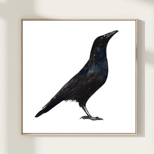 Raven watercolor painting, Black bird wall art, Crow painting, Square giclee print, Wall decor. CP