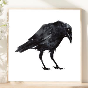 Raven watercolor painting art print, Black bird wall art, Crow painting, Square giclee print, Wall decor. CP