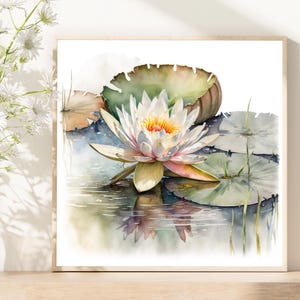 Water lilies Painting White Lotus Watercolor Floral Art Print Flowers Poster Neutral Wall Art Home Decor Gift. PL