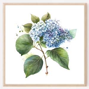 Blue Hydrangea Floral Watercolor Print, Hydrangea Art Print, Hydrangea Painting, Hydrangea Farmhouse Decor, Watercolor Floral Painting. HY