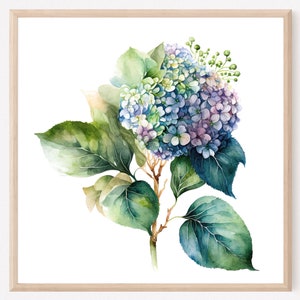 Blue Hydrangea Floral Watercolor Print, Hydrangea Art Print, Hydrangea Painting, Hydrangea Farmhouse Decor, Watercolor Floral Painting. HY