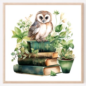Owl Bird Art Print