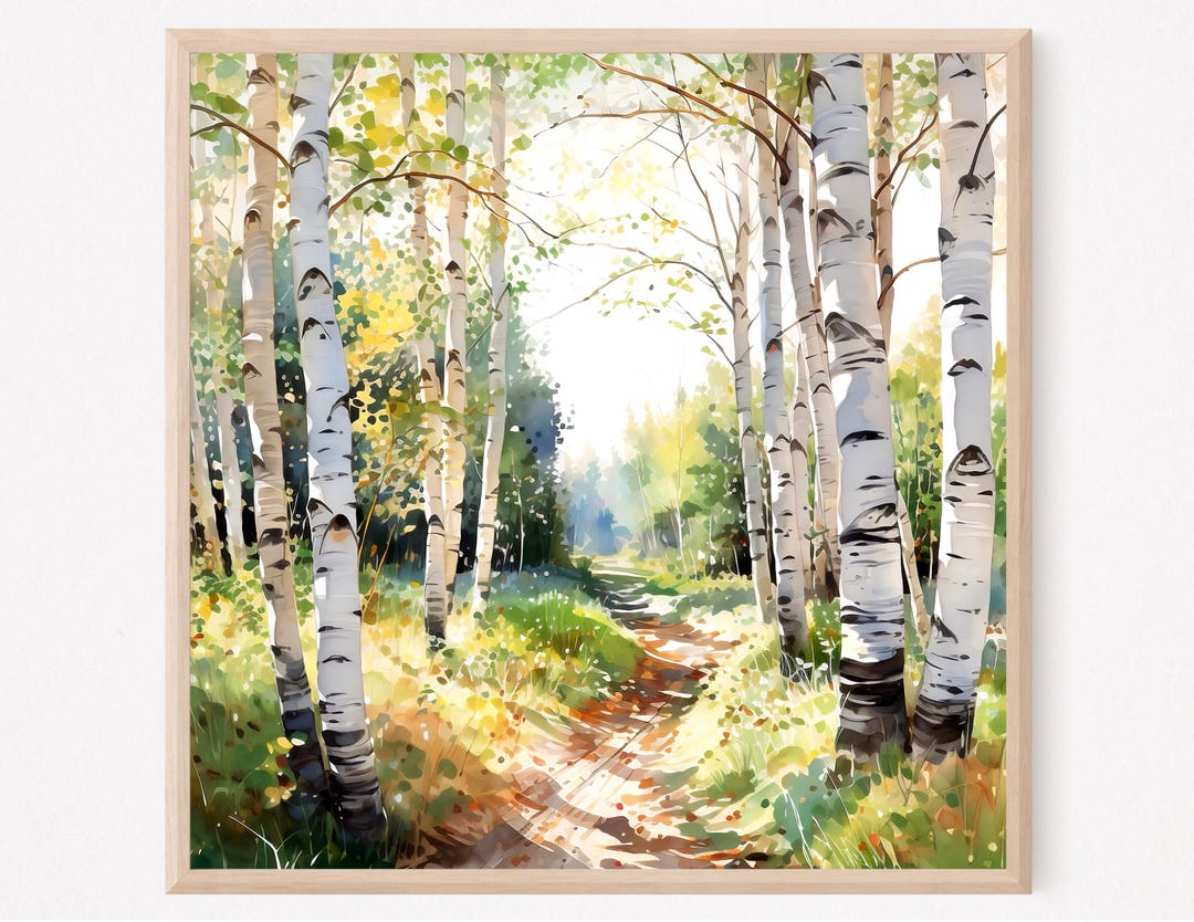Birch Tree Forest Watercolor Painting: Square Landscape Art Print - Etsy