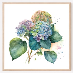 Blue Hydrangea Floral Watercolor Print, Hydrangea Art Print, Hydrangea Painting, Hydrangea Farmhouse Decor, Watercolor Floral Painting. HY