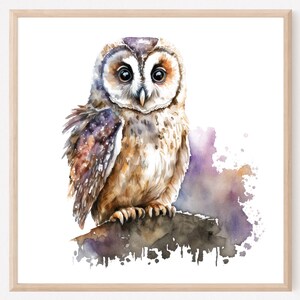 Barn Owl Watercolor, Watercolor Print, Watercolor Owl, Owl Print, Barn Owl Art, Barn Owl Watercolor, Owl Watercolor, Owl Decor, Owl art. OP