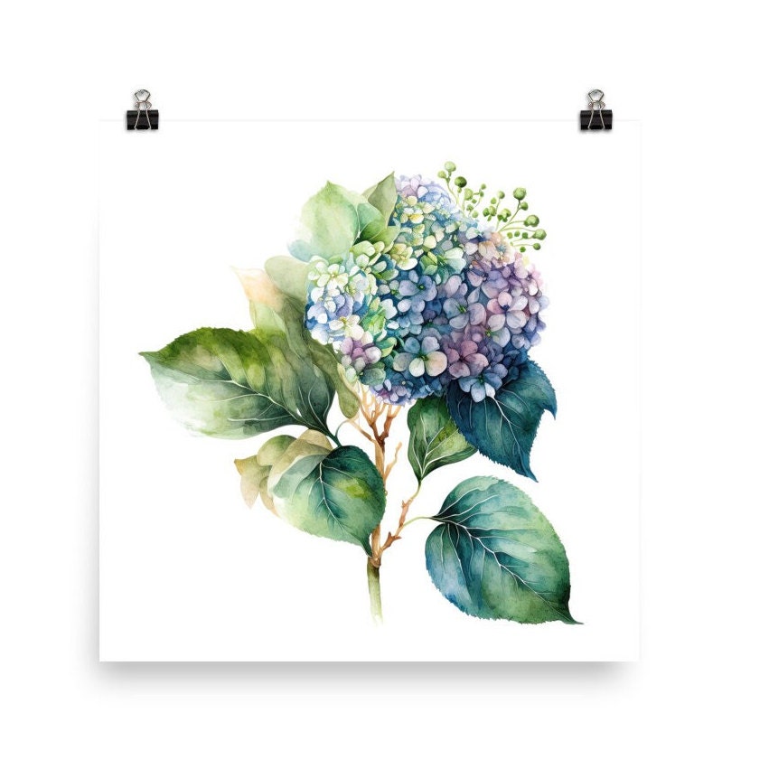 Blue Hydrangea Floral Watercolor Print Hydrangea Art Print Hydrangea