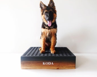 Foam dog training platform cheap